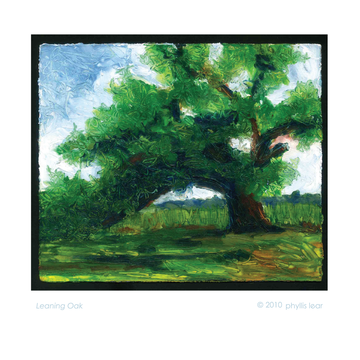 Leaning Oak (Print)