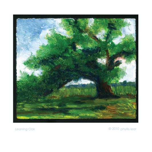 Leaning Oak (Print)